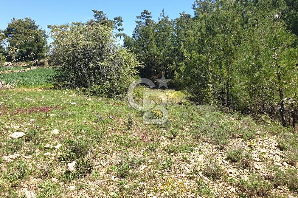 Muğla Menteşe Denizova Mahallesinde Satılık 1.366 Metre Kare Tarla