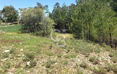 Muğla Menteşe Denizova Mahallesinde Satılık 1.366 Metre Kare Tarla