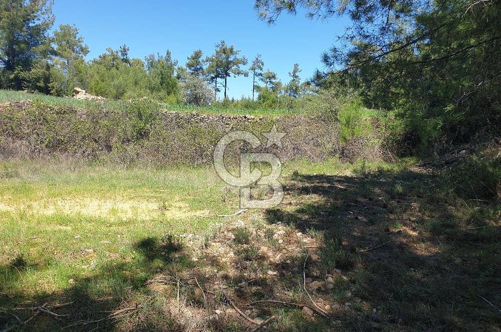 Muğla Menteşe Denizova Mahallesinde Satılık 1.366 Metre Kare Tarla