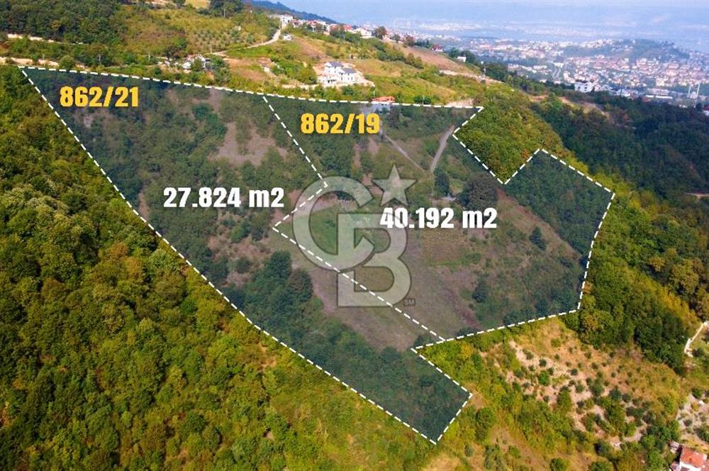 SATILIK GÖLCÜK İHSANİYE MAHALLESİNDE İMAR SINIRINDA 68 DÖNÜM
