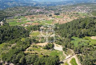 Muğla Menteşe Denizova Mahallesinde Satılık 1.366 Metre Kare Tarla