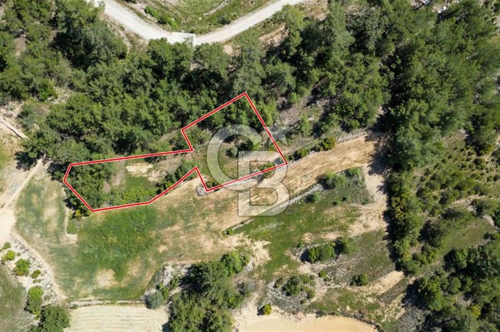 Muğla Menteşe Denizova Mahallesinde Satılık 1.366 Metre Kare Tarla