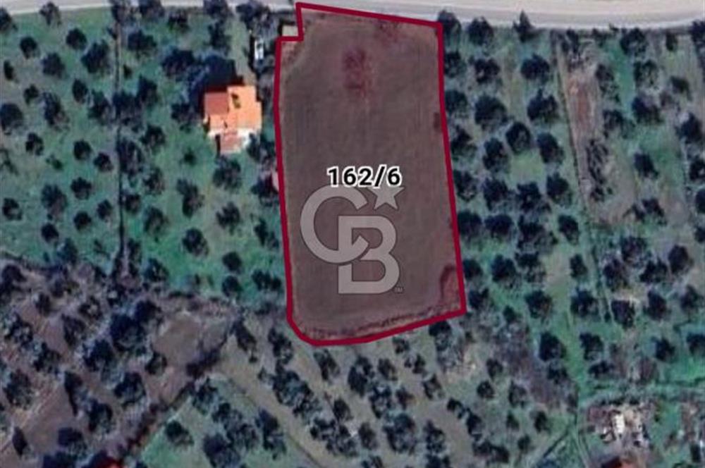 Balıkesir Burhaniye Börezli'de Satılık İmar Sınırında Ana Yola Cephe 4 Dönüm Tarla