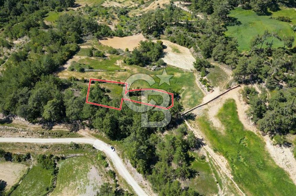 Muğla Menteşe Denizova Mahallesinde Satılık 1.366 Metre Kare Tarla