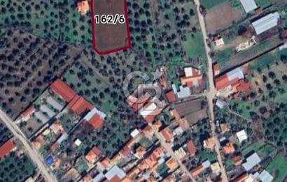 Balıkesir Burhaniye Börezli'de Satılık İmar Sınırında Ana Yola Cephe 4 Dönüm Tarla