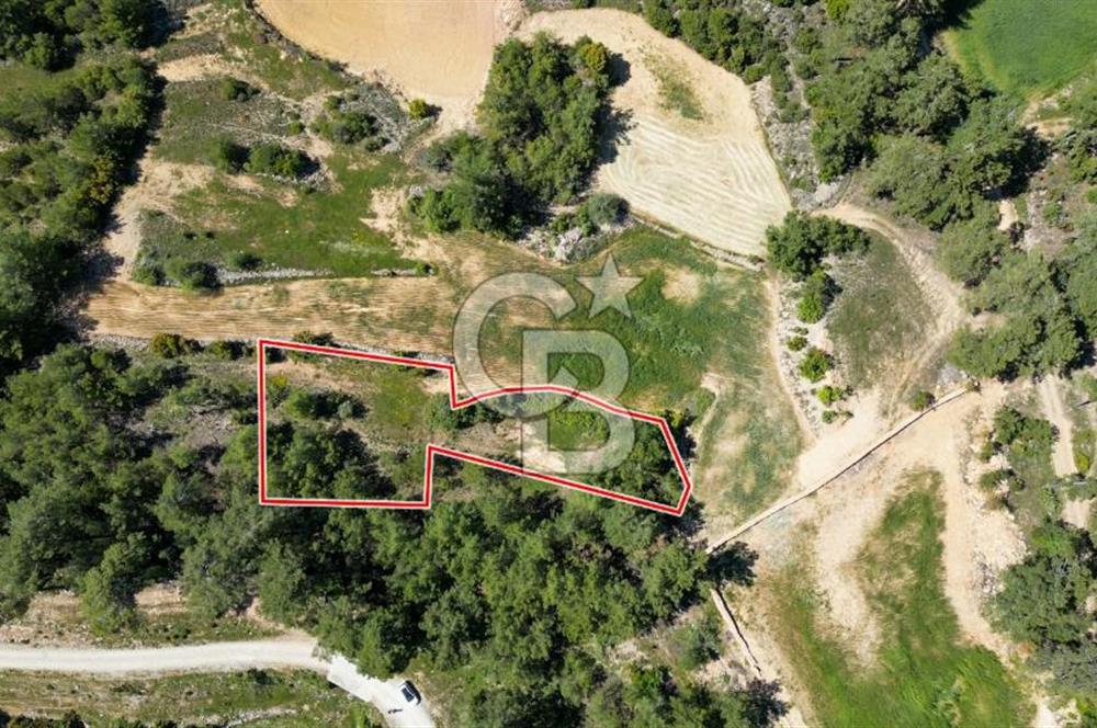 Muğla Menteşe Denizova Mahallesinde Satılık 1.366 Metre Kare Tarla