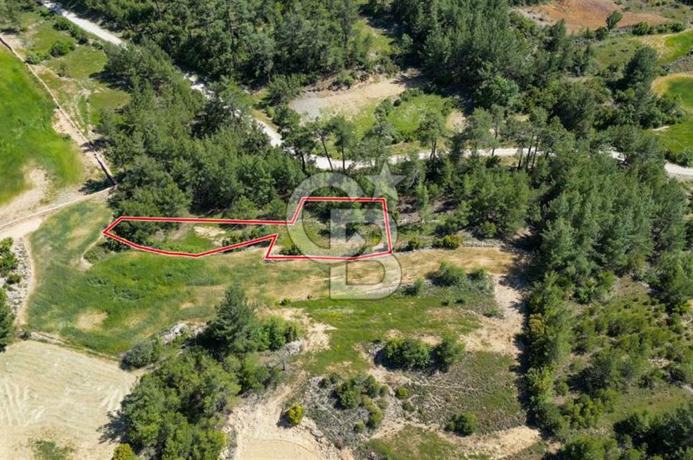 Muğla Menteşe Denizova Mahallesinde Satılık 1.366 Metre Kare Tarla