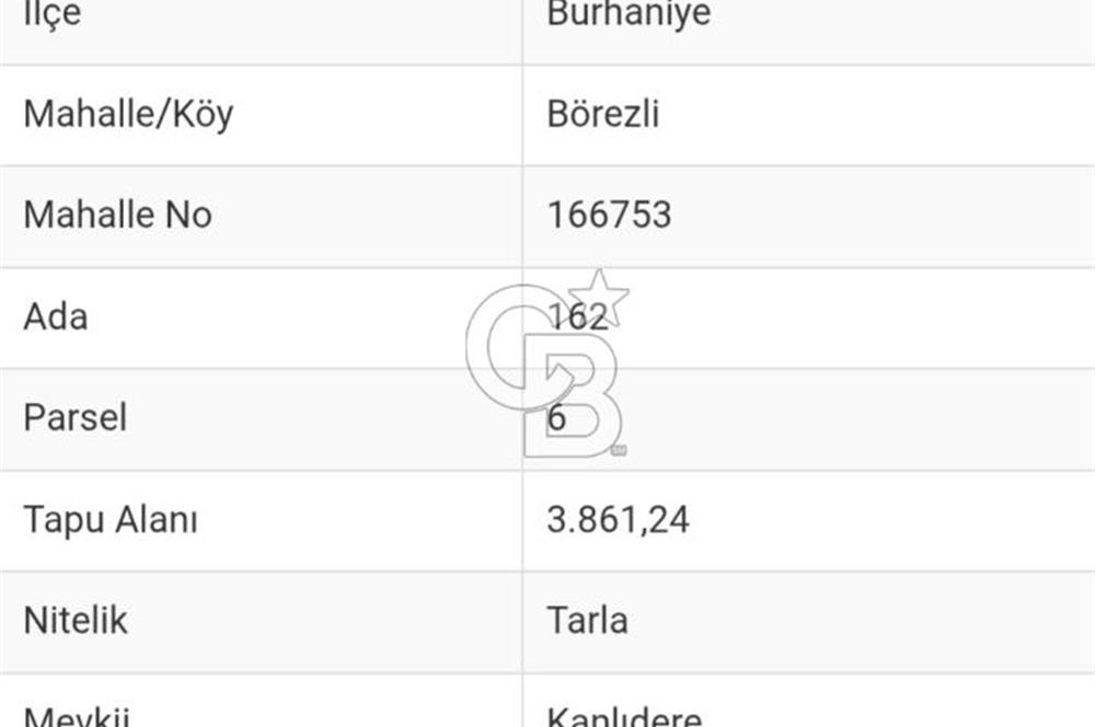 Balıkesir Burhaniye Börezli'de Satılık İmar Sınırında Ana Yola Cephe 4 Dönüm Tarla