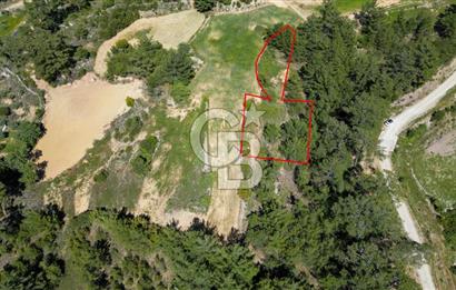 Muğla Menteşe Denizova Mahallesinde Satılık 1.366 Metre Kare Tarla