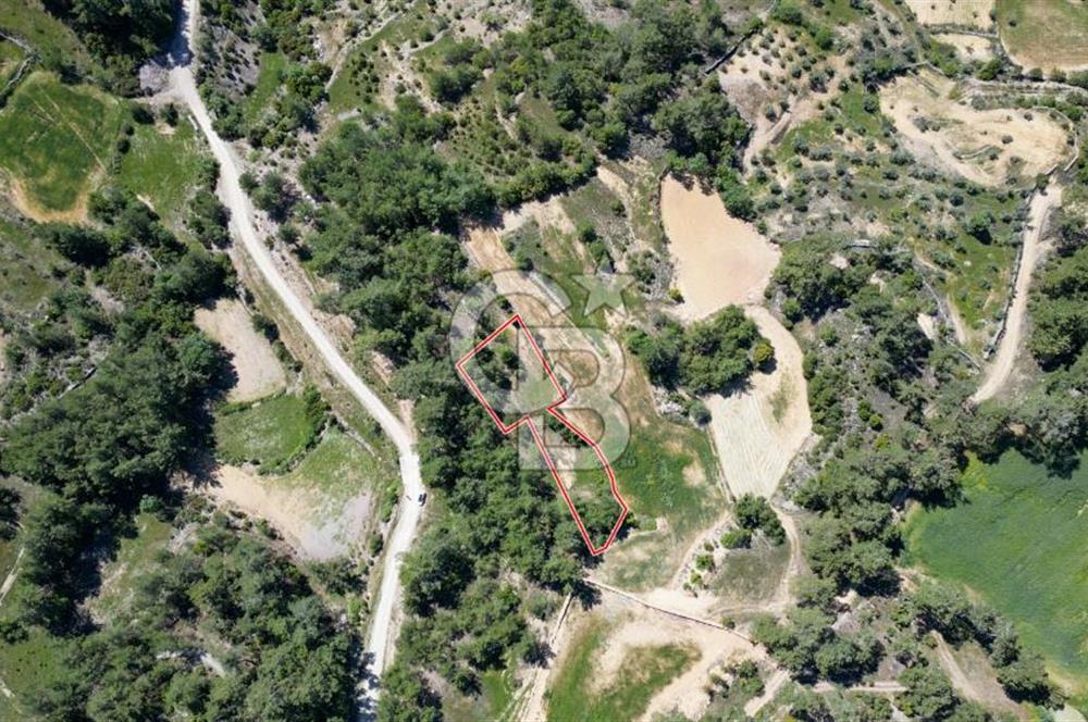 Muğla Menteşe Denizova Mahallesinde Satılık 1.366 Metre Kare Tarla