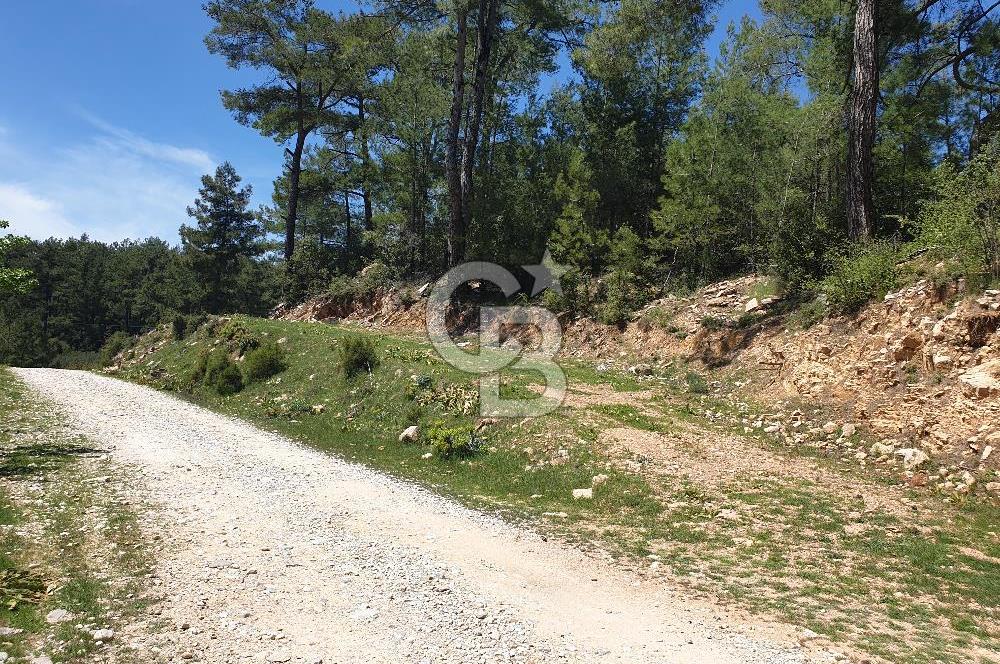 Muğla Menteşe Denizova Mahallesinde Satılık 1.366 Metre Kare Tarla