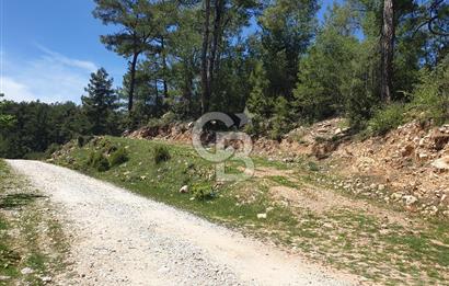 Muğla Menteşe Denizova Mahallesinde Satılık 1.366 Metre Kare Tarla