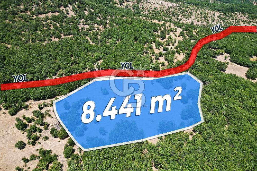 Çanakkale Merkez Alanköy’de Yatırımlık 8.441 m² Tarla!