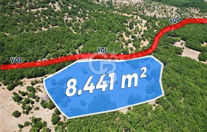 Çanakkale Merkez Alanköy’de Yatırımlık 8.441 m² Tarla!