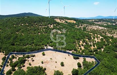 Çanakkale Merkez Alanköy’de Yatırımlık 8.441 m² Tarla!