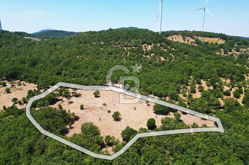 Çanakkale Merkez Alanköy’de Yatırımlık 8.441 m² Tarla!