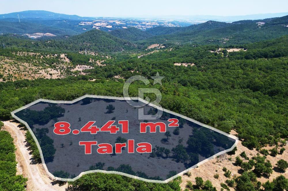 Çanakkale Merkez Alanköy’de Yatırımlık 8.441 m² Tarla!