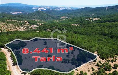 Çanakkale Merkez Alanköy’de Yatırımlık 8.441 m² Tarla!