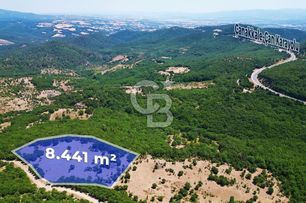 Çanakkale Merkez Alanköy’de Yatırımlık 8.441 m² Tarla!