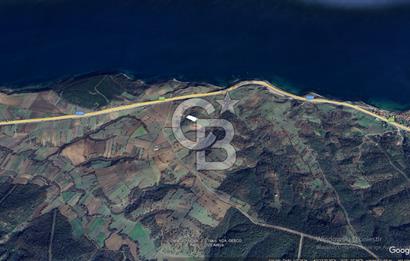 ÇANAKKALE LAPSEKİ ŞEVKETİYE'DE SATILIK ARAZİ