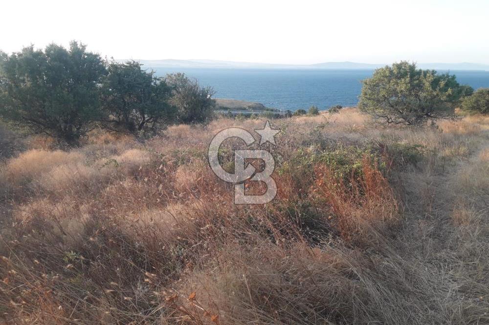 ÇANAKKALE LAPSEKİ ŞEVKETİYE'DE SATILIK ARAZİ