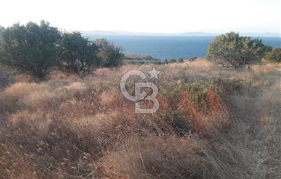 ÇANAKKALE LAPSEKİ ŞEVKETİYE'DE SATILIK ARAZİ