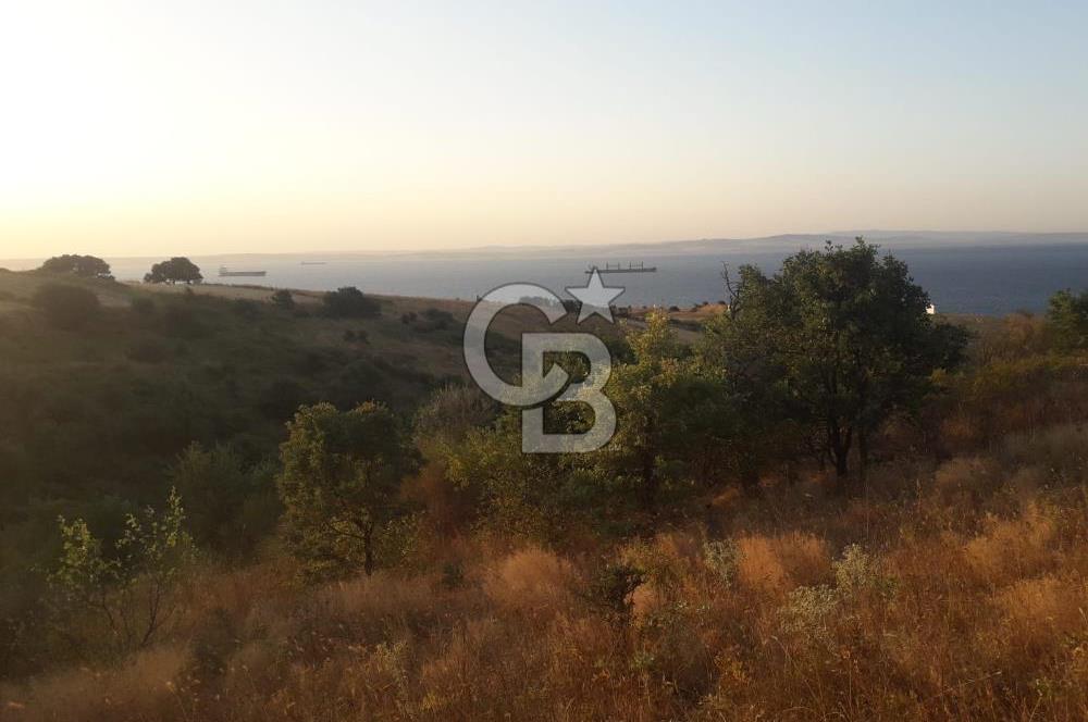 ÇANAKKALE LAPSEKİ ŞEVKETİYE'DE SATILIK ARAZİ