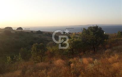 ÇANAKKALE LAPSEKİ ŞEVKETİYE'DE SATILIK ARAZİ