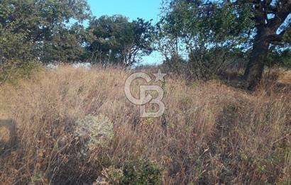 ÇANAKKALE LAPSEKİ ŞEVKETİYE'DE SATILIK ARAZİ