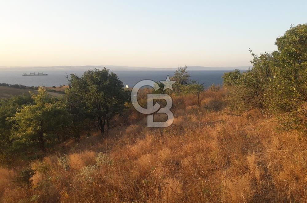 ÇANAKKALE LAPSEKİ ŞEVKETİYE'DE SATILIK ARAZİ