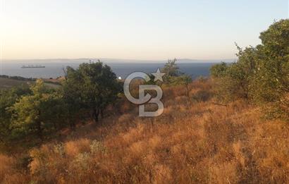 ÇANAKKALE LAPSEKİ ŞEVKETİYE'DE SATILIK ARAZİ