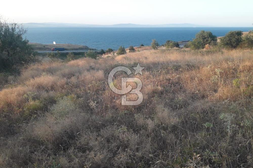 ÇANAKKALE LAPSEKİ ŞEVKETİYE'DE SATILIK ARAZİ