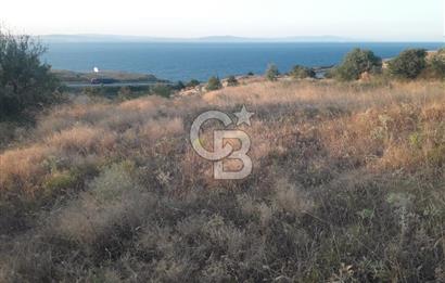 ÇANAKKALE LAPSEKİ ŞEVKETİYE'DE SATILIK ARAZİ
