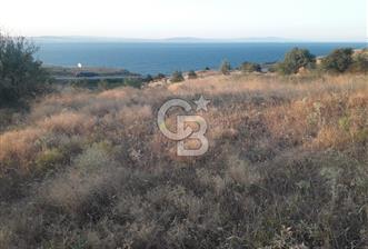 ÇANAKKALE LAPSEKİ ŞEVKETİYE'DE SATILIK ARAZİ