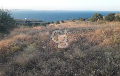 ÇANAKKALE LAPSEKİ ŞEVKETİYE'DE SATILIK ARAZİ