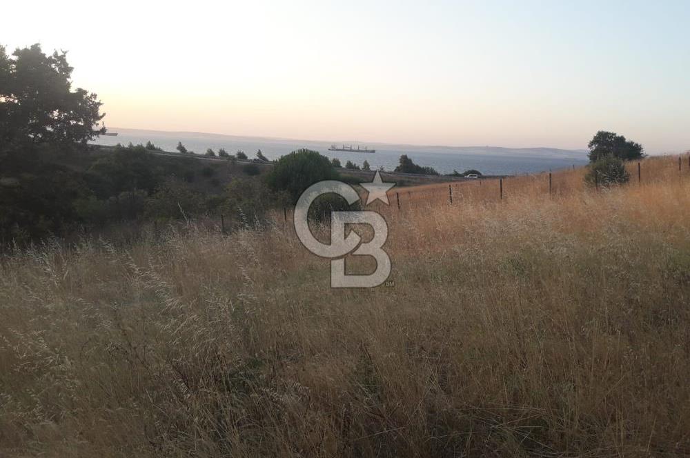 ÇANAKKALE LAPSEKİ ŞEVKETİYE'DE SATILIK ARAZİ