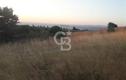 ÇANAKKALE LAPSEKİ ŞEVKETİYE'DE SATILIK ARAZİ