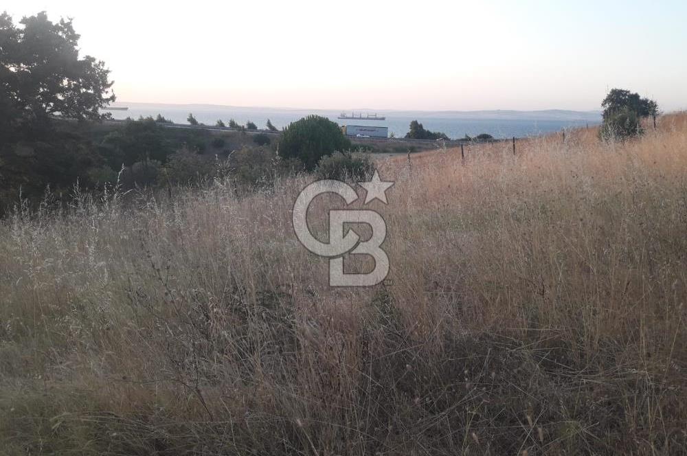 ÇANAKKALE LAPSEKİ ŞEVKETİYE'DE SATILIK ARAZİ