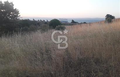 ÇANAKKALE LAPSEKİ ŞEVKETİYE'DE SATILIK ARAZİ