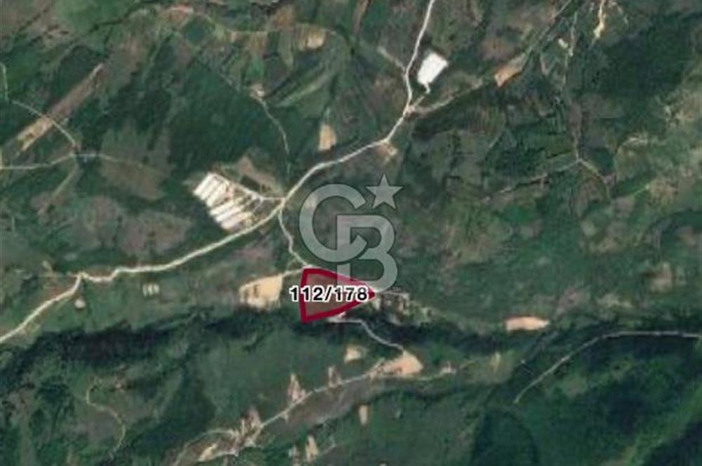 Samsun Kavak Çalbaşı Mevkii’nde Yatırımlık 34.255 m² Tarla!