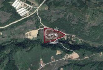 Samsun Kavak Çalbaşı Mevkii’nde Yatırımlık 34.255 m² Tarla!