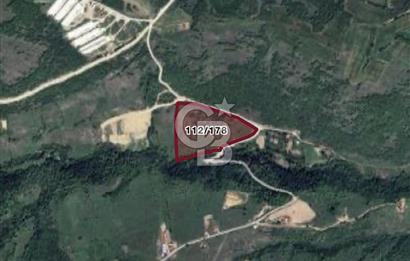 Samsun Kavak Çalbaşı Mevkii’nde Yatırımlık 34.255 m² Tarla!
