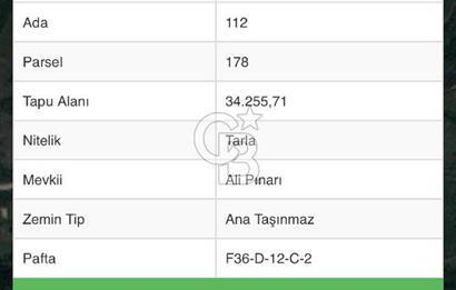 Samsun Kavak Çalbaşı Mevkii’nde Yatırımlık 34.255 m² Tarla!
