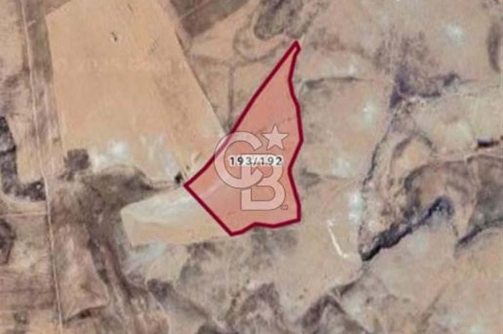 Ankara Polatlı'da Yatırımlık Fırsat Arazi
