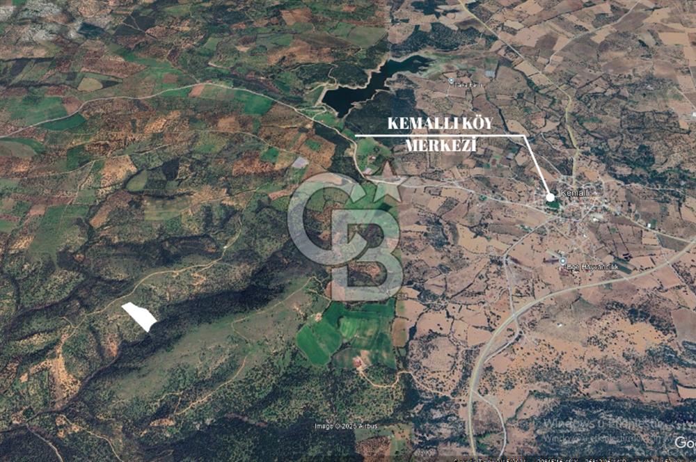 EZİNE KEMALLI KÖYÜNDE SATILIK ARAZİ