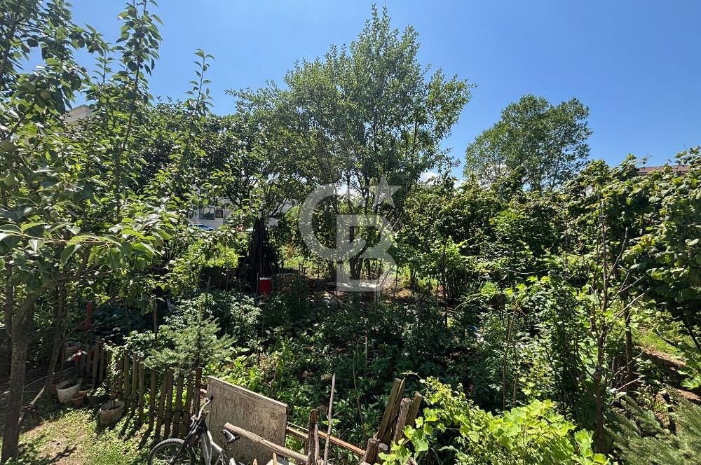 Ordu Altınordu Akyazı mahallesinde kiralık 1+1 daire 
