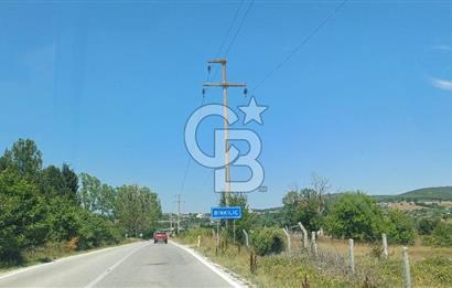 ÇATALCA BİNKILIÇ'TA ORMAN CEPHELİ ACİL SATILIK TEK TAPU ARSA