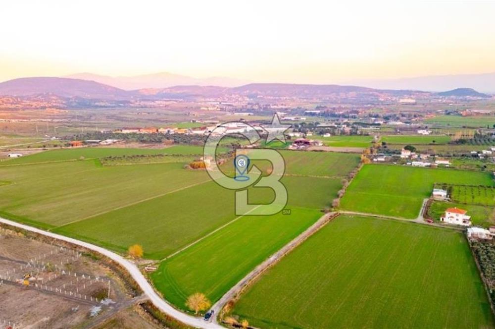 Foça Bağarası Hacıveli Mahallesinde Satılık Tarla