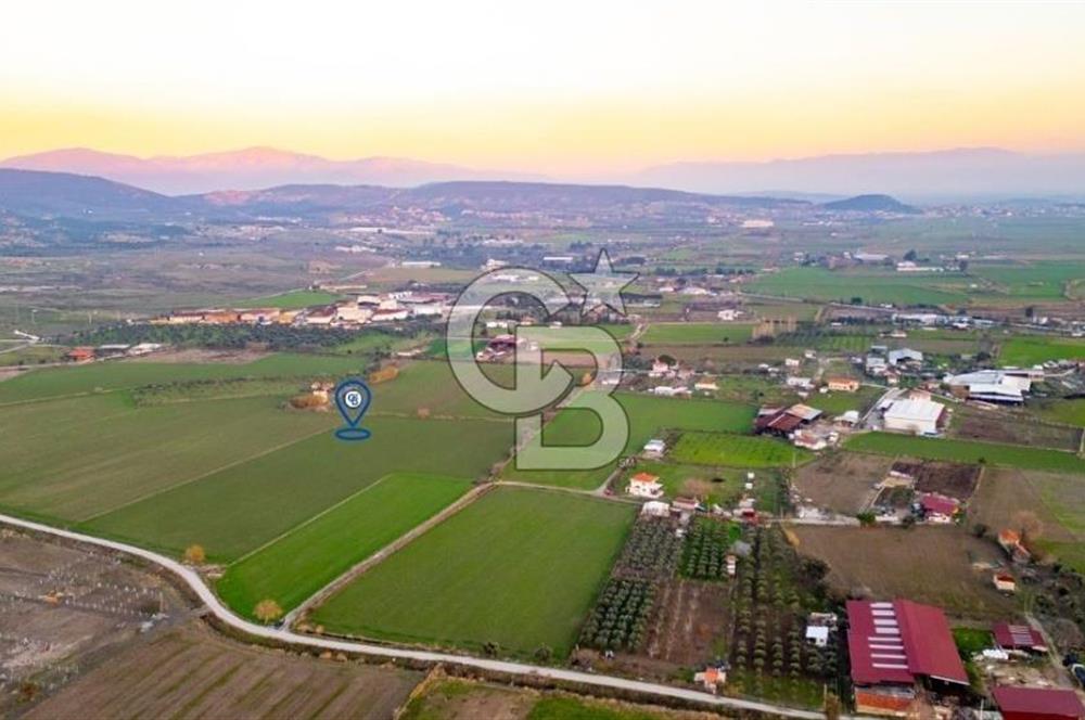 Foça Bağarası Hacıveli Mahallesinde Satılık Tarla