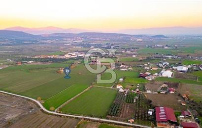 Foça Bağarası Hacıveli Mahallesinde Satılık Tarla